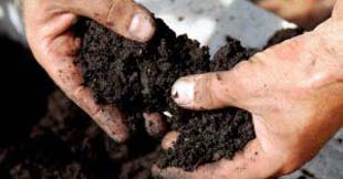 4 fatores que afetam a acidez do solo